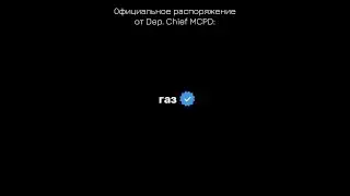 MCPD GANG или как это сейчас в гетто сленге? I Meta RP