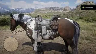 Red Dead Redemption II - Norfolk Roadster Spotted Tricolor