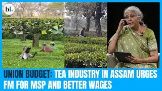 Union Budget: Tea industry in Assam urges FM for MSP and better wages