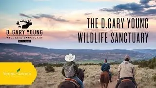The D. Gary Young Wildlife Sanctuary | Young Living Essential Oils