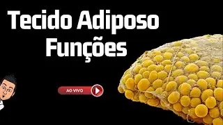 As Funções do Tecido Adiposo - Aula ao Vivo 44
