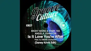 Is It Love You're After (feat. DJ Meme Orchestra) (Danny Krivit 12