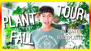 FALL BEDROOM HOUSEPLANT TOUR | INDOOR PLANT COLLECTION | BEDROOM JUNGLE | BEDROOM TOUR | PLANTS 2020