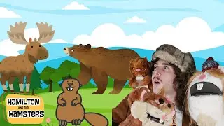Canadian Animals Kids Song! | Educational Song For Kids | Learning Animals