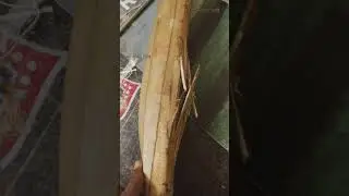 can this bat be fixed? #shorts #cricketbatrepair #tamil #_bats_man #subscribe