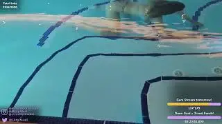 Melina thinks she's an octopus [0c5IUTWn_NU] 00-00-18 #000