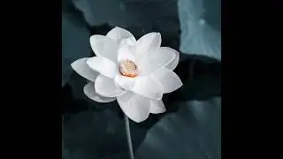 One Chant One Heart - Ashley Svenson (Nhạc thiền Phật gi&aacute;o tịnh t&acirc;m phổ biến tại Việt Nam)