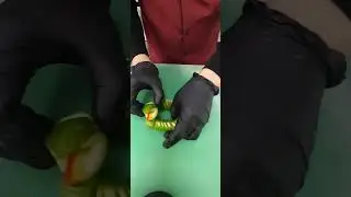snake cucumber creative design👌😘
