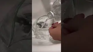 get your life together with me | GYLT daily task | deep clean your sink & faucet
