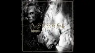 Behemoth - A Forest - guitar album cover