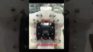 DJ 1'' PP air operated double diaphragm pumps