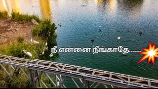 Hi friends good morning 🌞 வணக்கம் நண்பர்களே #srilanka