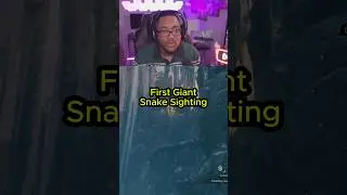 First Giant Snake Encounter Reaction #sekiroshadowsdietwice