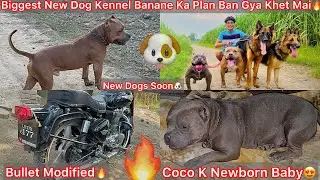 Khet Mai Biggest Dog Kennel Banane Ka Plan Ban Gya🔥New Giant Dog Breed Ki Entey Soon🐶 Coco Ka Puppy😍