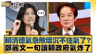 賴清德氣急敗壞沉不住氣了？鄭麗文一句讓賴政府氣炸了【#新聞大白話】20260205-2｜#羅旺哲 #陳揮文 #高嘉瑜