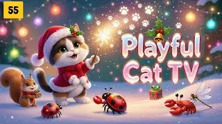 Playful Cat TV &ndash; Cat Games That Spark Joy in Every Paw Swipe