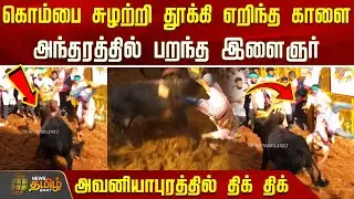கொம்பை சுழற்றி தூக்கி எறிந்த காளை - அந்தரத்தில் பறந்த இளைஞர் | Avaniyapuram Jallikattu | Madurai