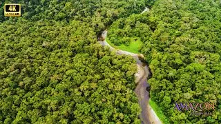 Amazon 4K - Exploring Jungle Landscapes in 4K