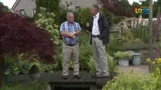 De “vijvergek” van Winschoten