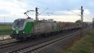 SETG 193 831 