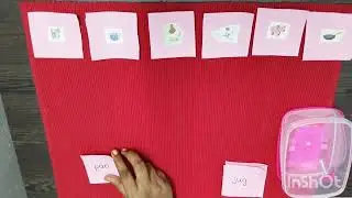 Розовая коробка с картинками | Язык | Монтессори