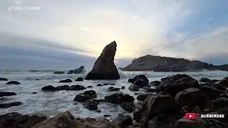 A WONDERLAND IN MARIN COUNTY CALIFORNIA