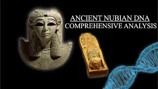 Ancient Nubian DNA | How Much Do Modern Sudanese Nubians Have?