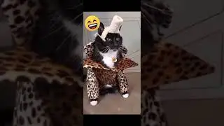 Кто вспомнил? #видео #самые #shortvideo #videos #смешные #самыесмешные #приколы#коты #cat