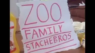 Zoo family stachebros logo
