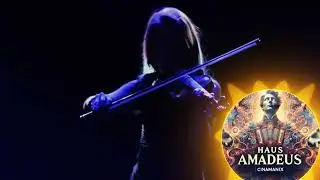 🎹🔥 Haus Amadeus &ndash; A Fusion of Classical Melodies & EDM Beats 🎶✨