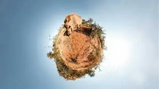 Africa on Foot : Virtual Reality Video of Walking Safaris in Kruger