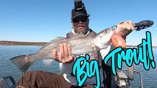 Big Trout Fishing in low water level: Kayak fishing Galveston Texas