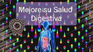 ☄️528 Hz -  Mejore su salud digestiva - Sanaci&oacute;n energ&eacute;tica para el sistema digestivo  -   Salud