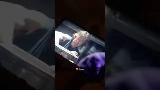 The world is a piece of shit