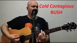 Cold Contagious - Bush (acoustic cover by Handler Rezei)
