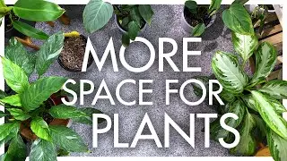 Plant Room Transformation (Floating Shelf Edition)