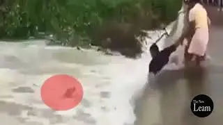 Kerala Flood : People rescue a stranded dog