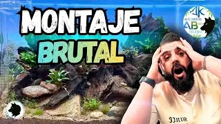 Así nace un Acuario Brutal 💥Hardscape y plantado paso a paso | El Factor Invisible