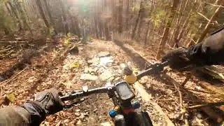 Polish Kanada #mtb #mtblife #downhill