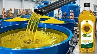 Inside a Sunflower Oil Factory | How 1,000,000 KG Sunflower Oil Is Made Every Day
