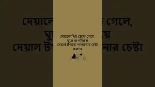 Own Funny Status from FB || Saif Creative Zone || #funnyjokesbangla #funnyjokes #bengali