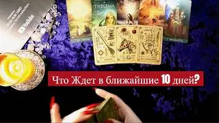 💥ЧТО СЛУЧИТСЯ В ТВОЕЙ ЖИЗНИ СОВСЕМ СКОРО⁉ ☀️Узнай БЛИЖАЙШЕЕ БУДУЩЕЕ 💥Таро