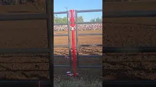 Friday Night Lights in a small town! #fun #funfridays #oregon #dad #rodeo #family