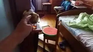 Жми x первая часть