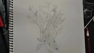 Beautiful Peacock 🦚 drawing live ❤️ Subscribe 🙏