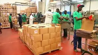 Senegal University Grads Struggle to Find Jobs