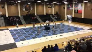 Duarte Falcon Winter Guard - 