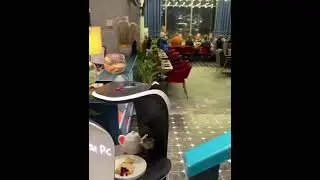 BellaBot-Russia-Restaurant--Birthday mode