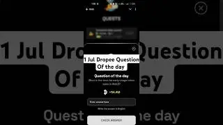 What is the term for early-stage token sales in Web3? | Dropee Question Of Day | 1 July
