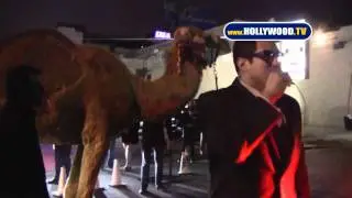 Camel Stars at Eden Night Club Grand Opening!